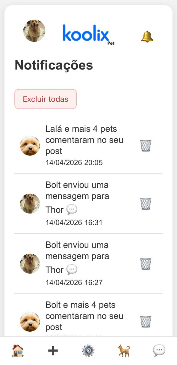 Tela de notificações mostrando mensagens, curtidas, posts e seguidores